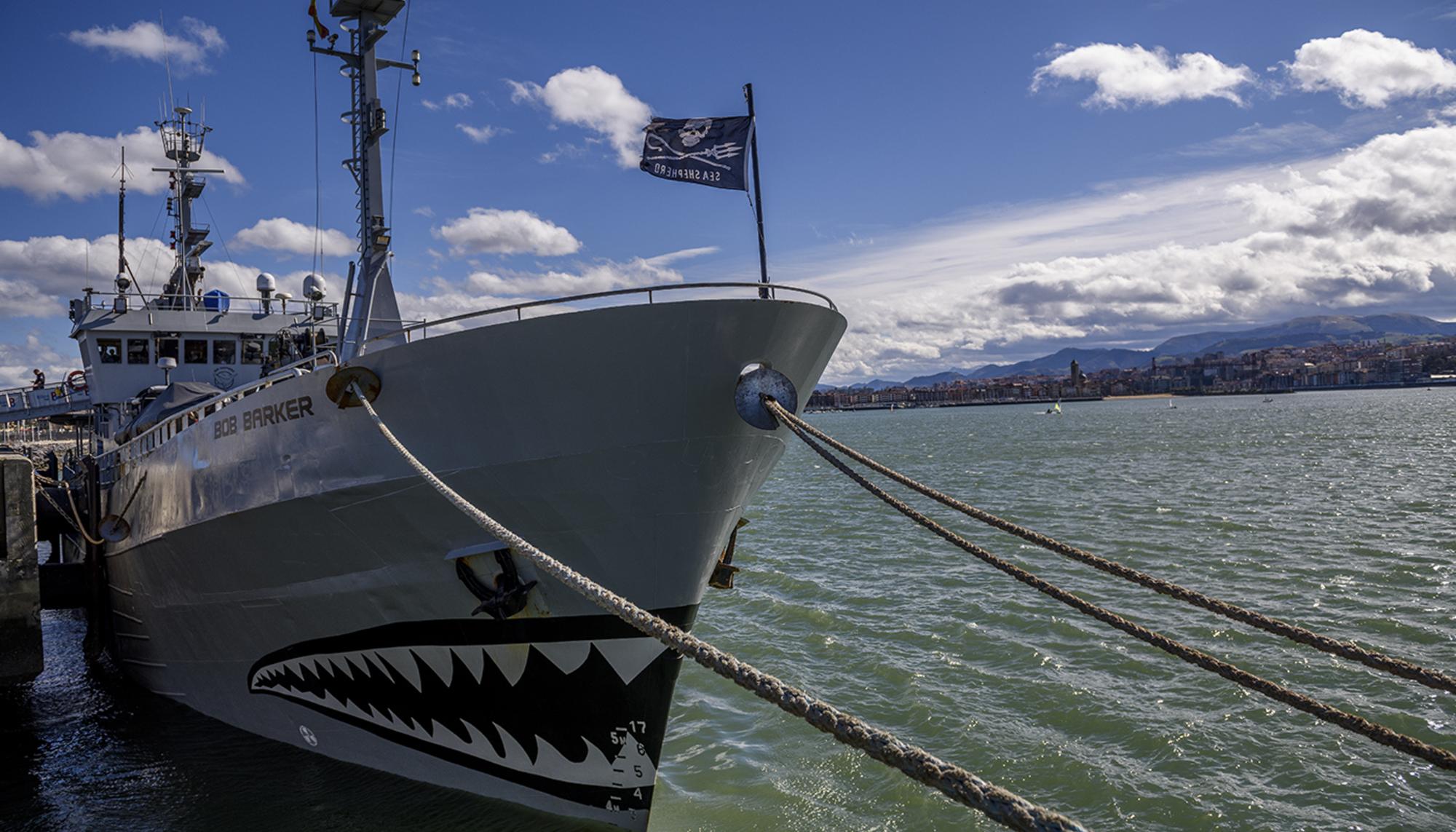 Sea_Shepherd_Bandera